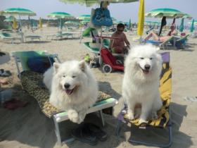 Дом отдыха Лидо ди Спина Аренда Италия