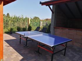 σπίτι διακοπών Tápiószentmárton Προς Ενοικίαση Ουγγαρία