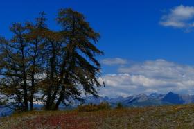 Дом отдыха Гийом Аренда Франция