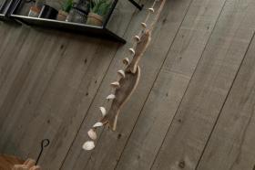 Дом отдыха Враувенполдер Аренда Нидерланды