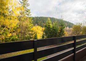 σπίτι διακοπών Winterberg Προς Ενοικίαση Γερμανία
