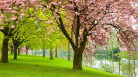 Nyaraló Baarle-Nassau Kiadó Hollandia