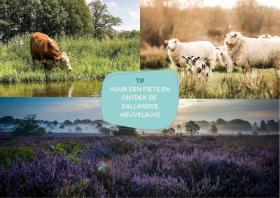 Holiday home Wierden for rent Netherlands