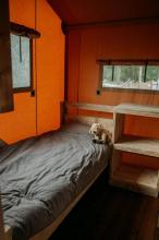 Holiday home Wierden for rent Netherlands