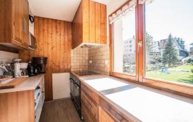 度假屋 双阿尔卑斯 法国