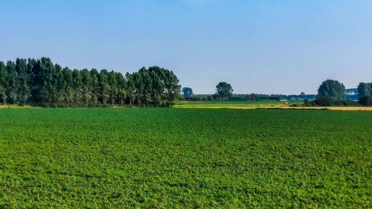 Dom wakacyjny Sint-Annaland  Holandia