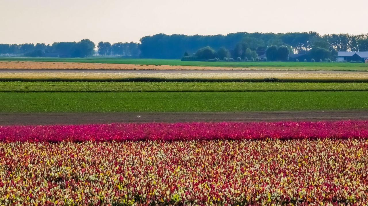 Dom wakacyjny Sint-Annaland  Holandia