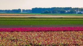 Casa de férias Sint-Annaland Aluguéis Holanda