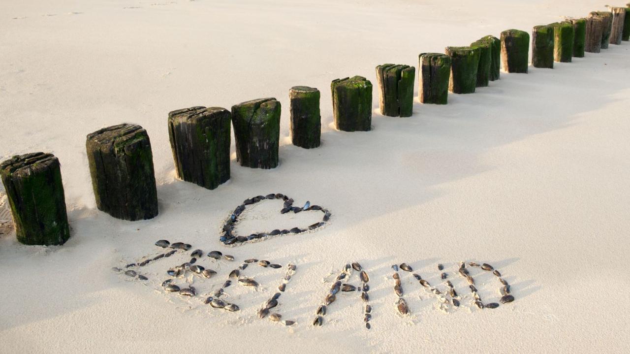 Dom wakacyjny Sint-Annaland  Holandia