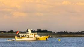 Kuća za odmor Sint-Annaland Za najam Netherlands