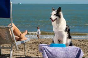 度假屋 阿尔巴雷拉岛  意大利