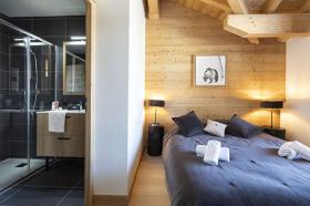 度假屋 双阿尔卑斯 法国