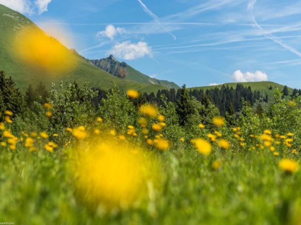 بيت العطلات Taninges للإيجار فرنسا