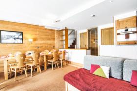 度假屋 高雪维尔 法国