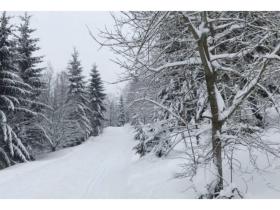 Maison de vacances Ober Sittau Loyer République tchèque