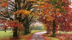 Maison de vacances Ober Sittau Loyer République tchèque