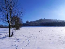 Holiday home Medebach for rent Germany