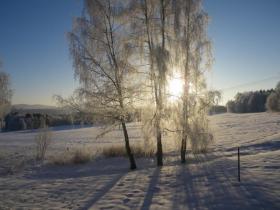 Feriehus Horní Planá  Tsjekkia