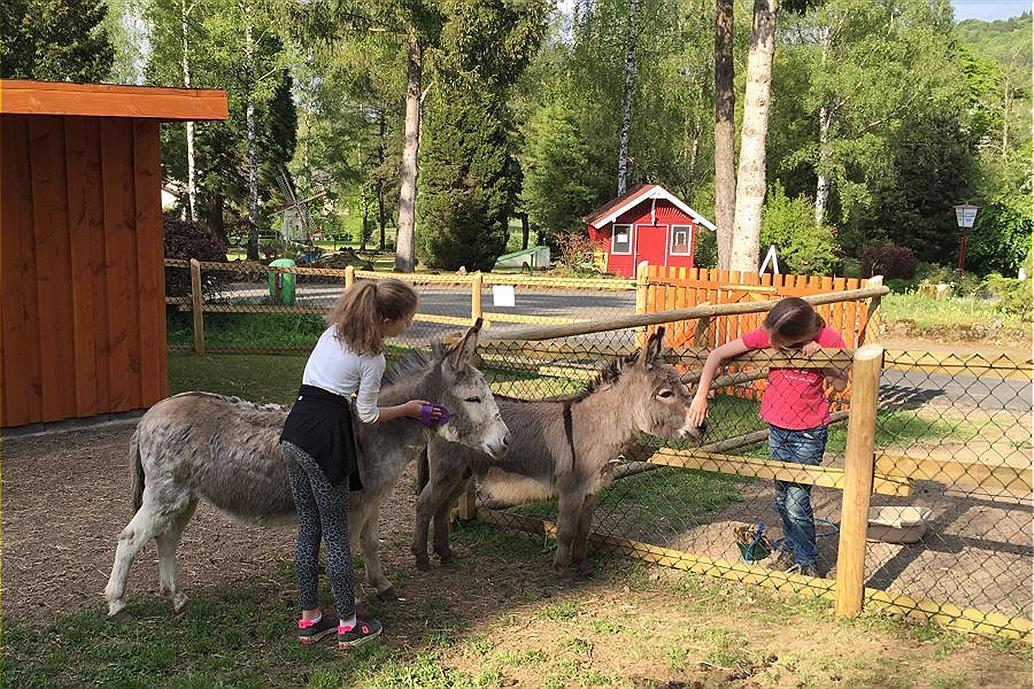 Дом отдыха Герольштайн Аренда Германия