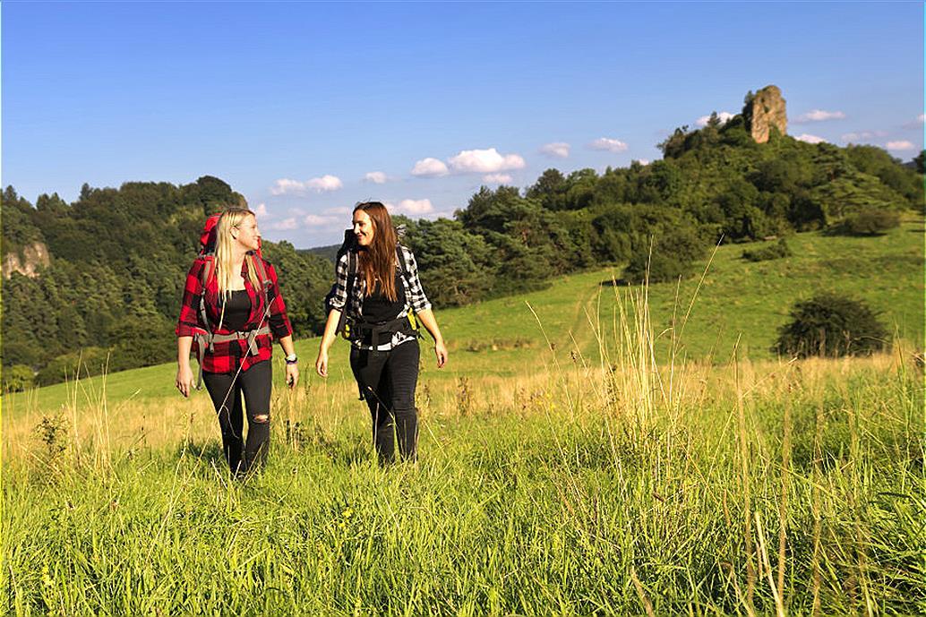 Дом отдыха Герольштайн Аренда Германия