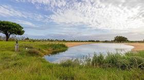 別荘 ル・テイヒ  フランス