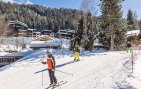 Дом отдыха Лес Карроз Аренда Франция