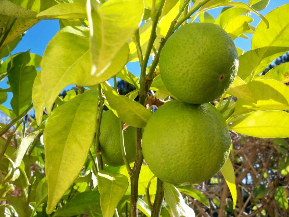 casa per le vacanze Ericeira In affitto Portogallo