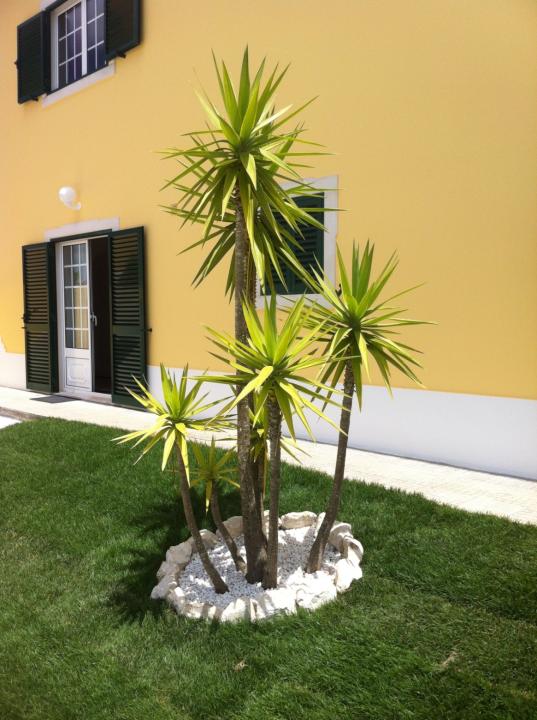 casa per le vacanze Ericeira In affitto Portogallo