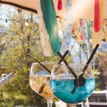 Holiday home Wierden for rent Netherlands