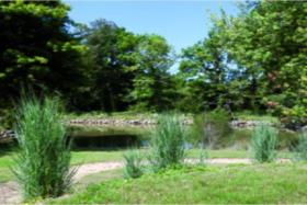 Дом отдыха Плескоп Аренда Франция