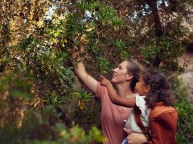 Feriehus Blanes Spain