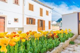 Holiday home Artà For Rent Spain