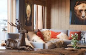 度假屋 双阿尔卑斯  法国