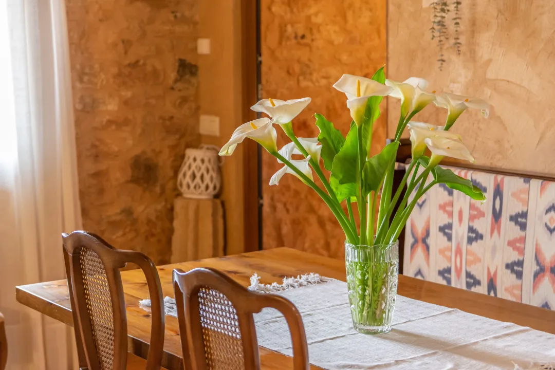 Ferienhaus Ses Salines zu mieten Spanien