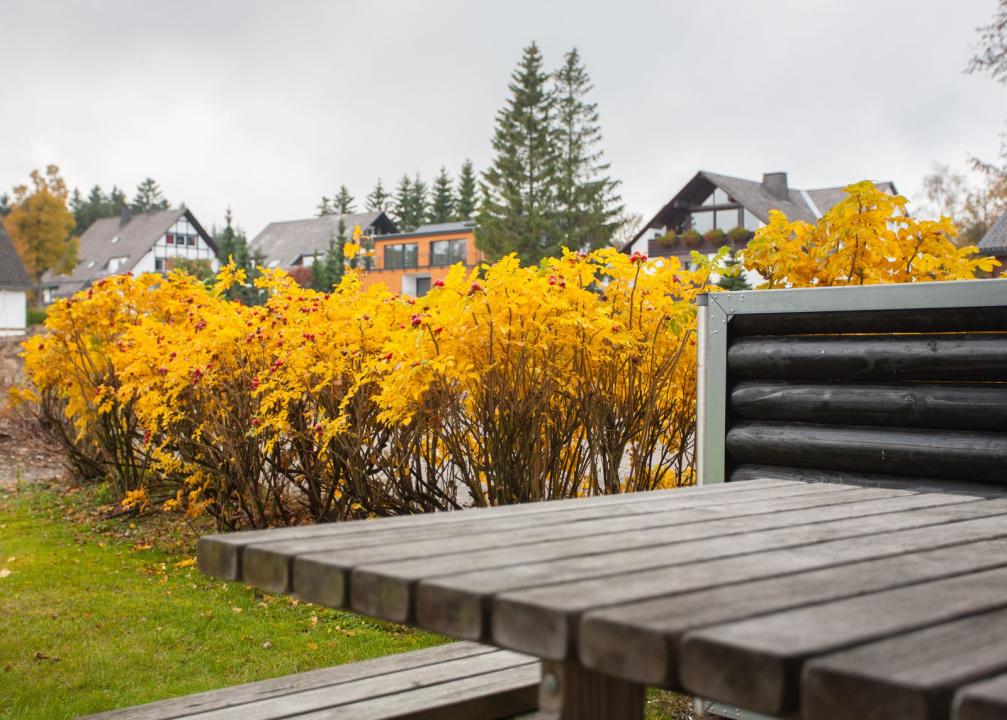 σπίτι διακοπών Winterberg Προς ενοικίαση Γερμανία