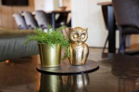 casa per le vacanze Voorthuizen In affitto Olanda