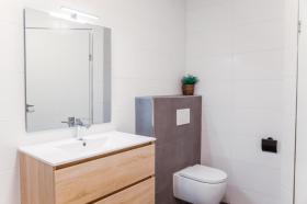 casa per le vacanze Voorthuizen In affitto Olanda