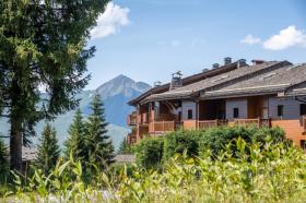 度假屋 圣莫里斯堡  法国