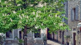 別荘 ヴァンス フランス