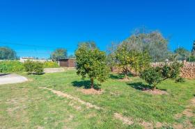 度假屋 柳克大调  西班牙