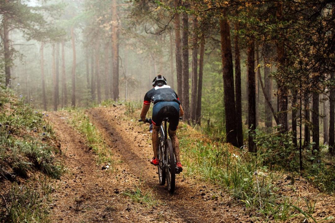 Дом отдыха Рейссен Аренда Нидерланды