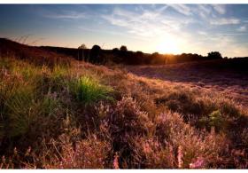 Holiday home Voorthuizen for rent Netherlands