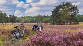 Vakantiehuis Ermelo te huur Nederland Vakantiehuis Ermelo te huur Nederland