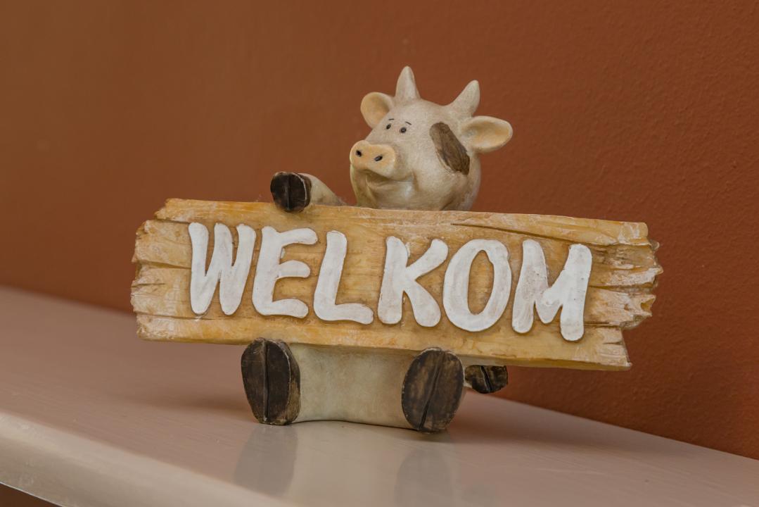 Дом отдыха Флиссинген Аренда Нидерланды