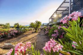 Casa de férias Porto-Vecchio Para alugar França