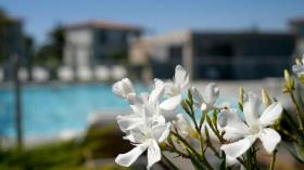 Kuća za odmor Porto-Vecchio Za najam France