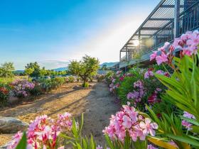 Дом отдыха Порто-Веккьо Аренда Франция