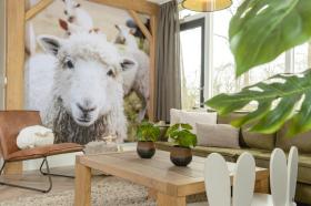 Holiday home for rent in Wierden-Zuna, Netherlands