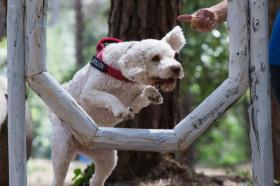 Ferienhaus Grosseto zu mieten Italien