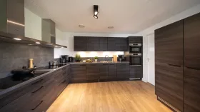 度假屋 刺  荷兰
